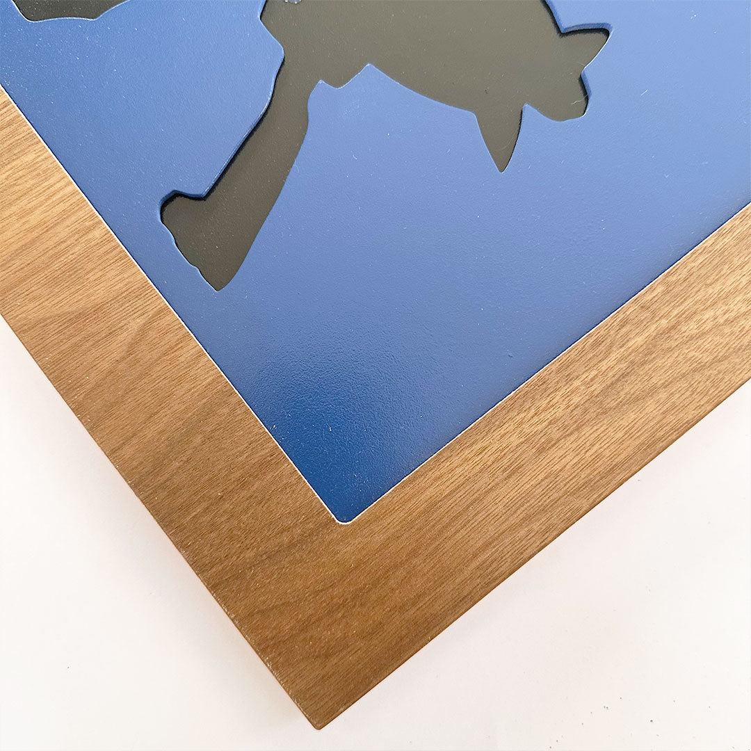 Cuadro Evolución Pokémon de Silueta Lucario para Pared en Capas